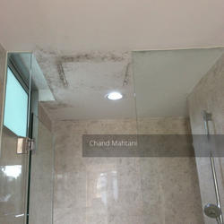 One Jervois (D10), Condominium #120491842